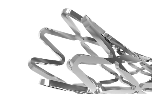 Stent model-.png